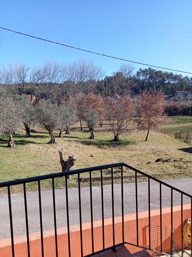 דירות Alvaiázere Alojamento Local - Casa Amarela מראה חיצוני תמונה